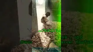 ARK doormat trap