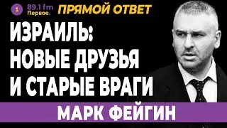 МАРК ФЕЙГИН. Израиль: Новые друзья и старые враги
