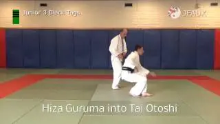 JFAUK Grading Syllabus: Junior 3 Black tags