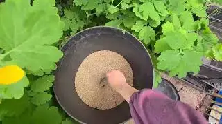 Утилизирую всё что можно, нехочу заниматься хозяйством!