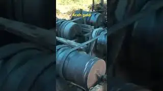 Extracting gold from quartz veins in the mountainous interior of Aceh province, Sumatra #shorts