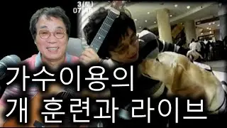가수이용의 개 훈련과 라이브 음악