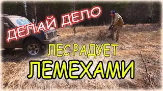 ЛЕСНОЙ ПОИСК ЖЕЛЕЗА/2020