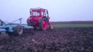 MOV 0117