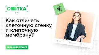 Как отличать клеточную стенку и клеточную мембрану? | БИОЛОГИЯ ЕГЭ | СОТКА