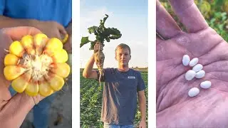 Crop Tour | August 25, 2020
