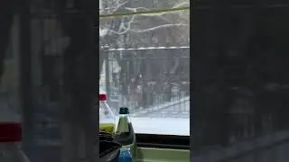 Новогодние каникулы🚂 
