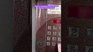 Звуки от домофона Cyfral CCD-2094 Домофон Cyfral CCD-20