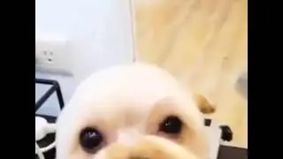 Đẹp Zai mới có nhiều đứa yêu