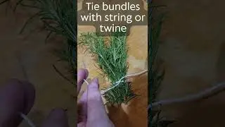 How to Harvest and Dry Rosemary