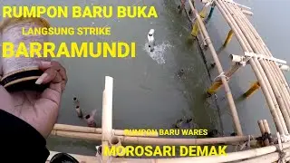 Mancing Kakap Putih-Barramundi  Di Rumpon Yusuf Morosari DEMAK  Pakai Udang Hidup