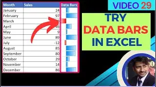 How to use Data Bars in Excel | Video no. 29