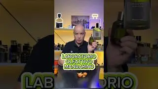 Лучший запах мандарина на лето