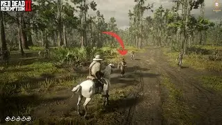 Creepy Random Encounter