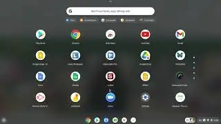Clearing out the Download Files on your Chromebook