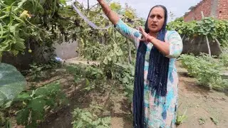 Sab Kuch Barbad Kar Diya Inhone || Pal Family Vlogs