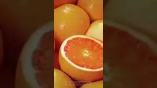 6 апреля 2023 г.