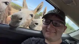 Exploring The Island Of Bonaire!!