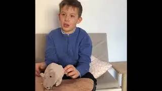 Катаклизм в Котокафе обзор