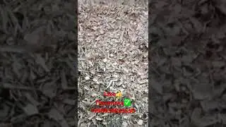 Дробилка 210$