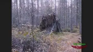 Hut / taiga / Hut old