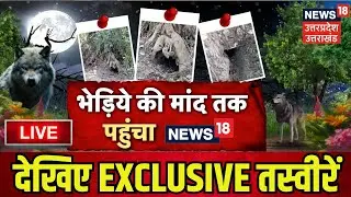 Live Bhediya Attack: भेड़िये की मांद तक पहुंचा NEWS18 | CM Yogi | Hindi News | Top News | Breaking