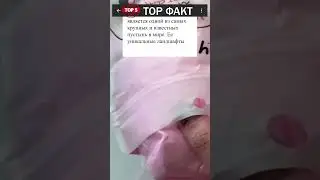 Какая обширная пустыня  