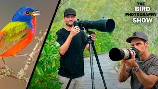 Blown Highlight Rescuing Hacks! | The Only Tripod Head You'll Ever Need? | Spring Madness Is Here!