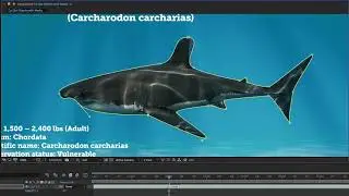 how to create a layer mask using the Pen tool to cut out an object from its background