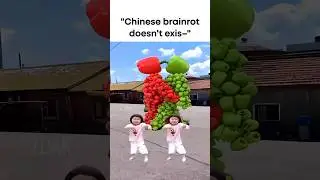 Chinese Brainrot