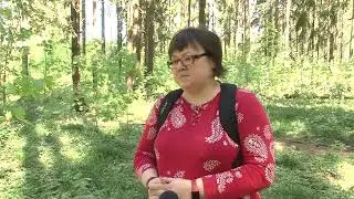 Мусор в городе и волонтеры