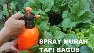 Semprotan tanaman 2 liter sangat murah