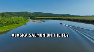 ALASKA SALMON ON THE FLY