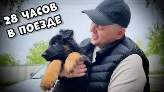 I BOUGHT MYSELF A DOG