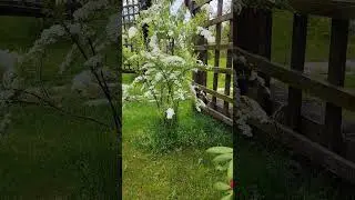 ВСË В ДЕЛО.