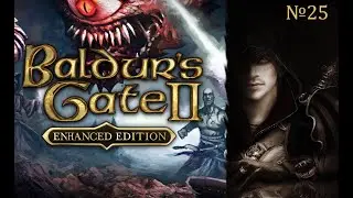 Baldur`s Gate 2 Enhanced Edition   №25   Assassin Edition