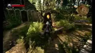 The Witcher 3 on R7 240
