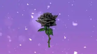 XXXTENTACION - Hope