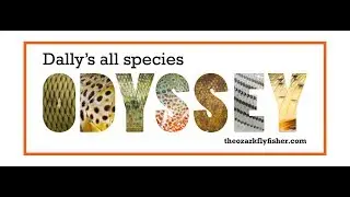 Dally's All Species Odyssey The Beginning