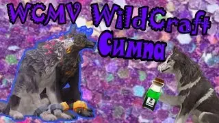 WCMV Симпа