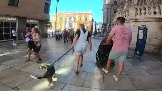 Centro Historico Walking Tour - Patios - Plazas - Malaga Spain - Costa Del Sol