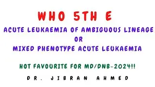 ACUTE  LEUKAEMIA OF AMBIGUOUS LINEAGE II MIXED PHENOTYPE ACUTE LEUKAEMIA II HEMATOLOGY