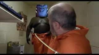 overwatch mercy turns into monke