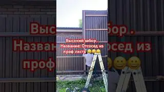 Забор из профнастила