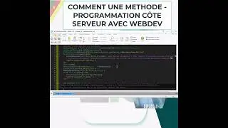 COMMENT ECRIRE UNE METHODE   PROGRAMMATION  METIER AVEC WEBDEV