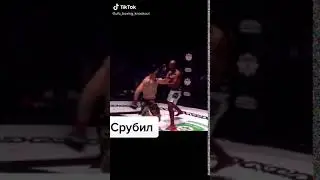 UFC 2