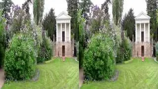 Rhododendrenblüte im Wörlitzer Park - Real 3D