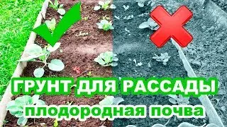 ГРУНТ ДЛЯ РАССАДЫ УНИВЕРСАЛЬНЫЙ ПОЧВОГРУНТ