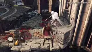 Dark souls 2 Funny moments from the stream/speedrun
