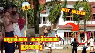 ഒളരിക്കര കാളിദാസൻ ഇടഞ്ഞു ,ആനയെ തളച്ചു | Olarikkara Kalidasan elephant attack |
